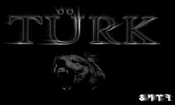 M�LL�YET�� HAREKET VE KAR�ISINDAK�LER